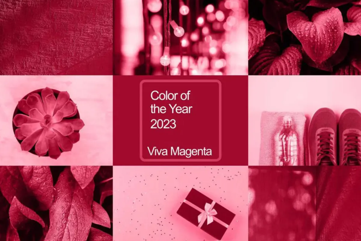 Viva Magenta được vinh danh là màu của năm 2023